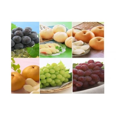 【先行予約】　岡山県産　旬のくだもの定期便　6回　環-18