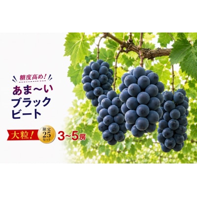 【2026年発送】 ブラックビート 3〜5房 約2kg 甘い 贈答 数量限定 産地直送 種無し