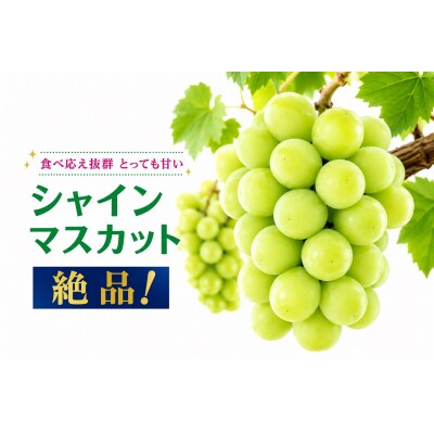 【2026年発送】 シャインマスカット 3〜4房 約2kg 甘い 贈答 数量限定 産地直送 送料無料