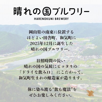 クラフトビール　6本　350m　【飲み比べ】