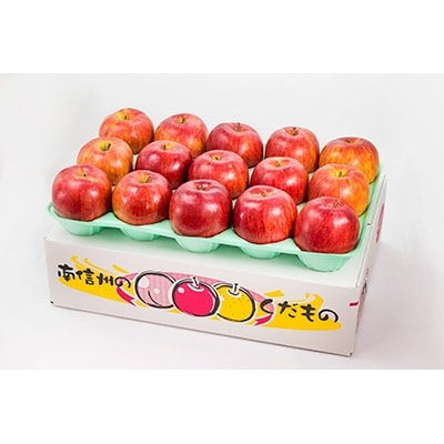 【長野県高森町】南信州産 りんご　シナノスイート5kg箱