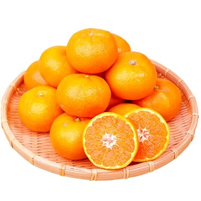 【2024年6月下旬発送】＜先行受付＞【赤秀品】紀州和歌山ハウスみかん2.5kg　化粧箱入