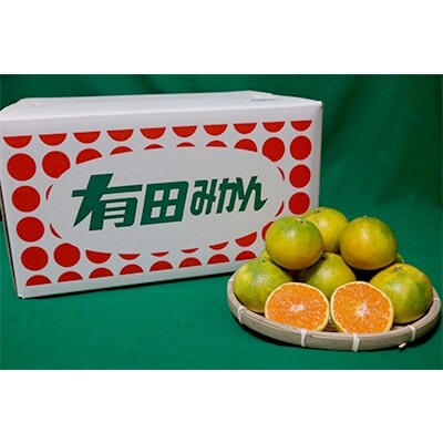 先行受付【まごころ手選別】和歌山産有田みかん(極早生)10kg (S～Lサイズ)【サイズおまかせ】