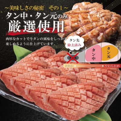 厚切り牛タン(塩)500g  (500g×1P)
