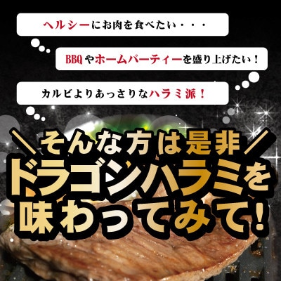 肉匠中むら監修 ドラゴンハラミ 　500g(500g×1P)