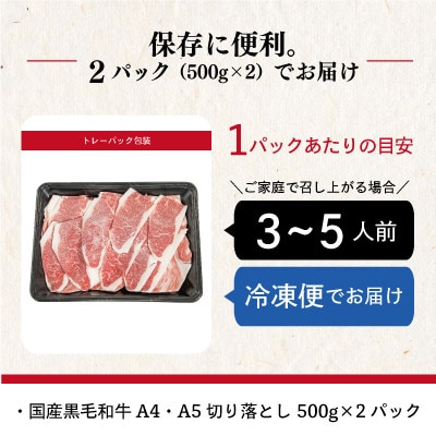 国産黒毛和牛A4・A5切り落とし 1kg (500g×2パック)