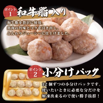 ふんわりジューシー鶏つくね(和牛脂入り) 960g(192g×5パック)