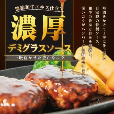 自家製デミグラスソースハンバーグ　1.4kg(140g×10個)