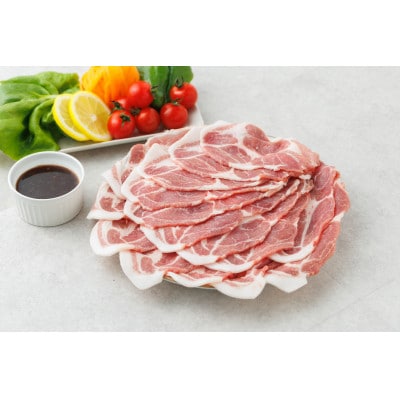 白金豚肩ローススライス250g×2