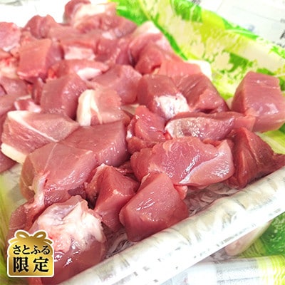 【さとふる限定】白金豚ファミリーセットW(2倍)【2.4kg】 モモ 産地直送  国産
