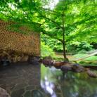 結びの宿 愛隣館の日帰り入浴券 (10枚セット)