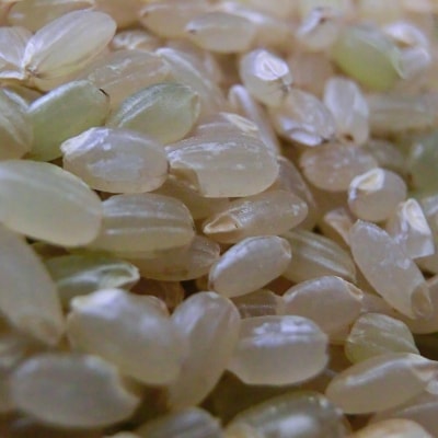 岩手県花巻市「残留農薬0の米(R)」玄米ひとめぼれ 5kg