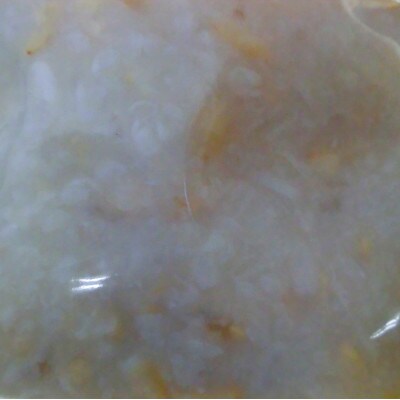 岩手県花巻市 【夏便り】発芽玄米四日こうじ甘酒 600g(300g x 2個)