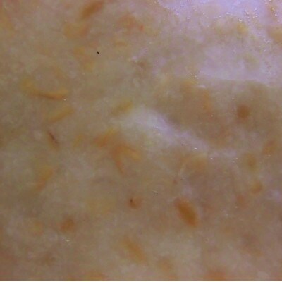 岩手県花巻市 【夏便り】麹玄米くっきんぐ甘酒 1050g(350g × 3個)