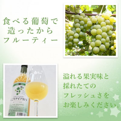 にごりワイン(ナイアガラ 白・キャンベル ロゼ)甘口2本セット