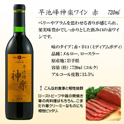 花巻満喫 家のみセット【早池峰神楽ワイン赤白&白金豚角煮・ジャーキー】