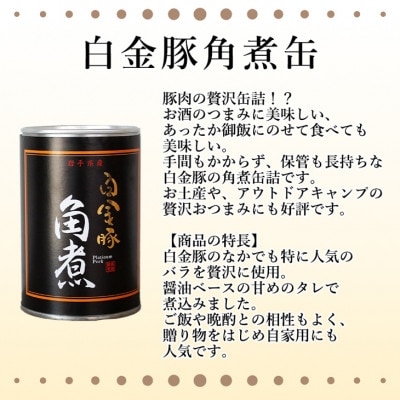 花巻満喫 家のみセット【早池峰神楽ワイン赤白&白金豚角煮・ジャーキー】