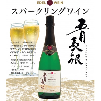 贅沢スパークリングワイン4本セット