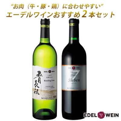 お肉に合うおすすめワイン2本セット