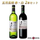 五月長根(赤・白) 2本セット