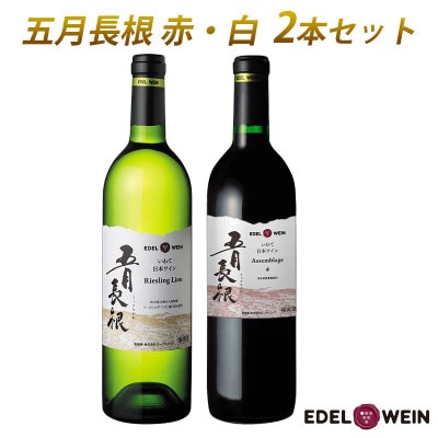 五月長根(赤・白) 2本セット