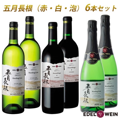 五月長根(赤・白・泡) 6本セット