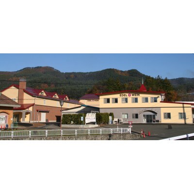 エーデルワイン　人気辛口ワイン厳選4本セット【コンツェルト(赤・白)・神楽(赤)・五月長根(白)】