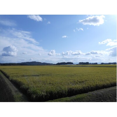 岩手花巻産「健土健米」ひとめぼれ　精米5kg