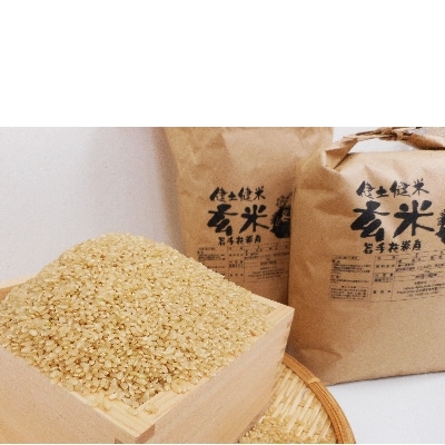 岩手県花巻産「健土健米」ひとめぼれ　玄米6kg