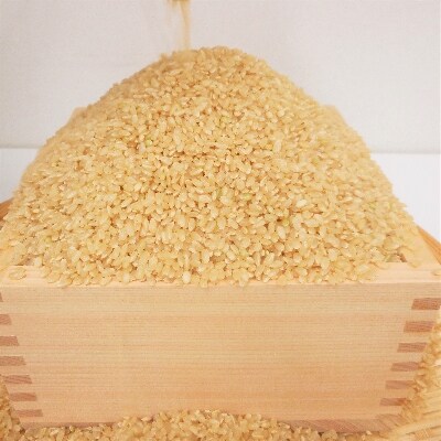 岩手県花巻産「健土健米」ひとめぼれ　玄米6kg