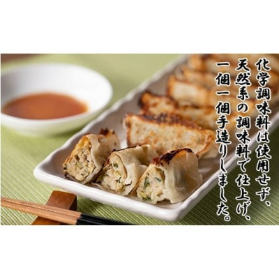 手造り生餃子3種食べ比べセット (肉・しそ巻き・スタミナにら) 各10個×2パック 合計6パック