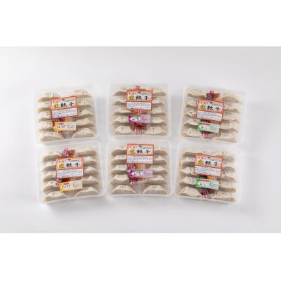 手造り生餃子3種食べ比べセット (肉・しそ巻き・スタミナにら) 各10個×2パック 合計6パック