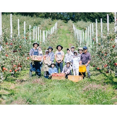 花巻市滝田産　宇津宮果樹園の林檎屋果汁【ジョナゴールド】30缶セット