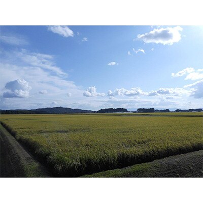 【毎月定期便】岩手花巻産「健土健米」ひとめぼれ　精米5kg全6回