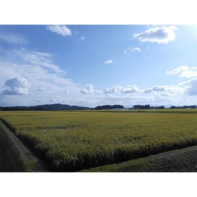 【毎月定期便】岩手花巻産ひとめぼれ「健土健米」5kg全6回