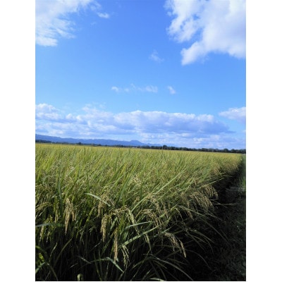 【毎月定期便】岩手花巻産「健土健米」ひとめぼれ　10kg全3回