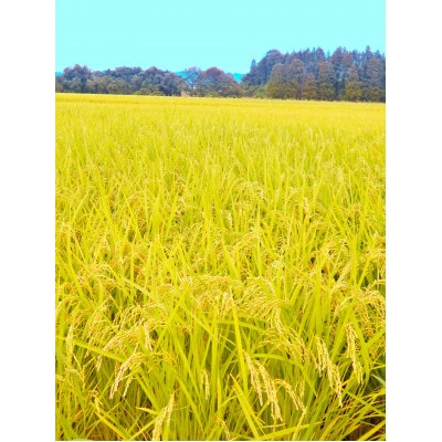 【毎月定期便】岩手花巻産「健土健米」ひとめぼれ　5kg全3回
