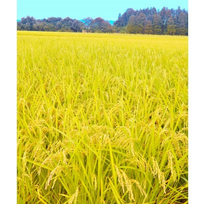 【毎月定期便】岩手花巻産「健土健米」ひとめぼれ　10kg(5kg×2袋)全6回