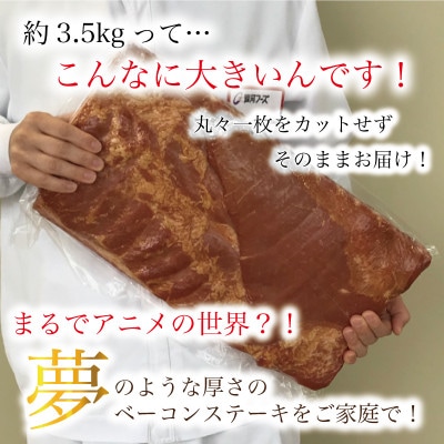 銀河フーズ　ベーコン原木3.5kg