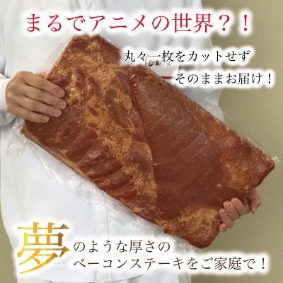銀河フーズ　ベーコン原木3.5kg