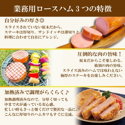 銀河フーズ　原木 ロースハムロング1.7kg【業務用】