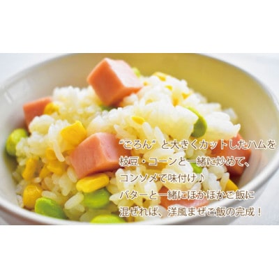 銀河フーズ　原木 ロースハムロング1.7kg【業務用】