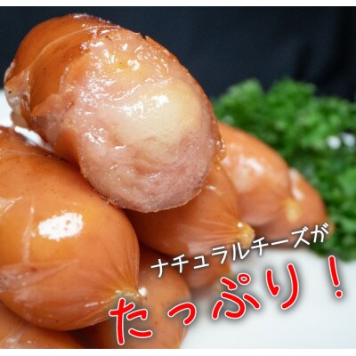 銀河フーズ　チーズでるソーセージ(10袋セット)