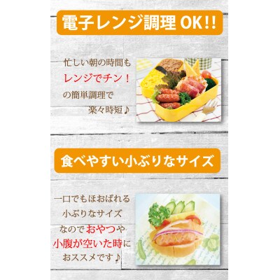 銀河フーズ　チーズでるソーセージ(10袋セット)