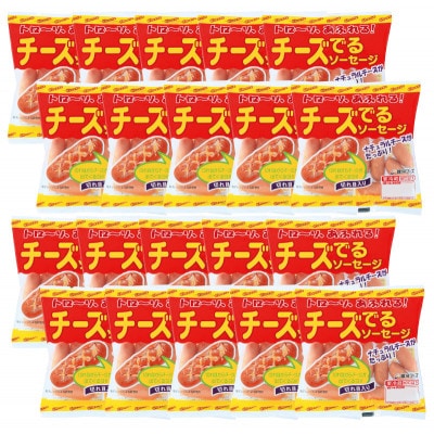 銀河フーズ　チーズでるソーセージ(24袋セット)