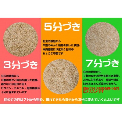 【令和6年産】分づきが選べる　岩手県産ひとめぼれ5kg　5分づき
