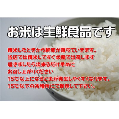 【令和6年産】岩手県産ひとめぼれ10kg