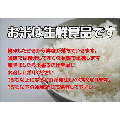 【毎月定期便】岩手県産ひとめぼれ(精米) 5kg 全3回