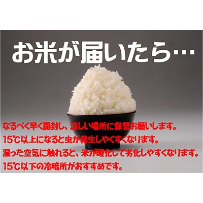 2023年1月発送開始『定期便』岩手県産ひとめぼれ5kg 全12回