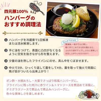 GIFTON 岩手県産四元豚 手ごね 生ハンバーグ 150g×6個